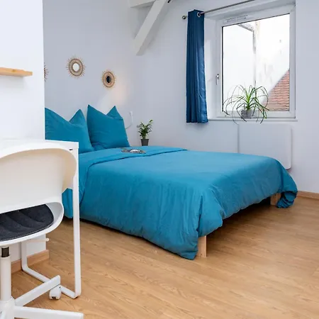 Le Bretzel Petite Venise Vieille Center Wi-fi ホームステイ コルマール